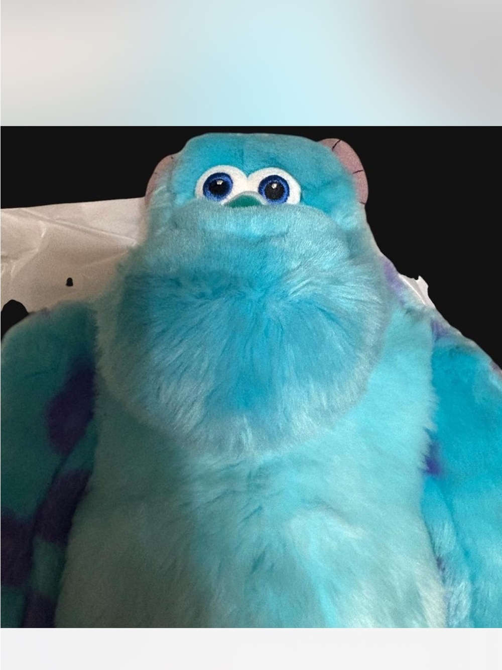 Disney Teal and Purple Sulley Plush
